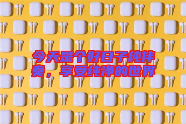 今天是個(gè)好日子純伴奏，享受純凈的世界