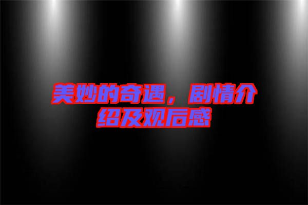 美妙的奇遇，劇情介紹及觀后感