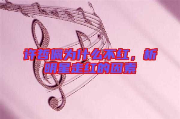 許哲佩為什么不紅，析明星走紅的因素