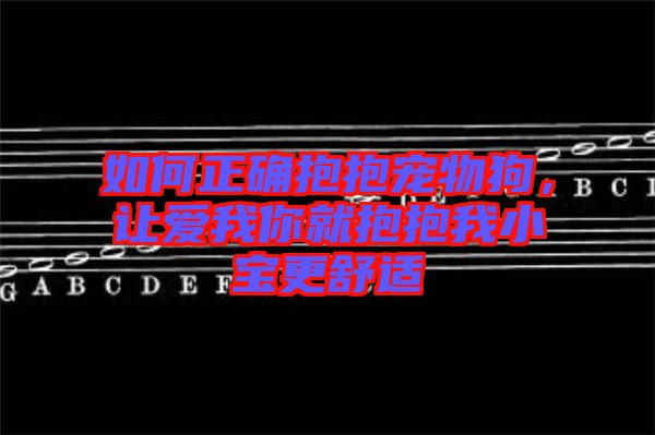 如何正確抱抱寵物狗，讓愛我你就抱抱我小寶更舒適
