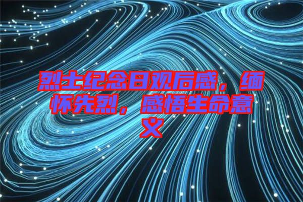 烈士紀念日觀后感，緬懷先烈，感悟生命意義