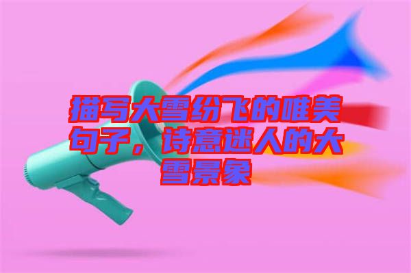 描寫大雪紛飛的唯美句子，詩(shī)意迷人的大雪景象