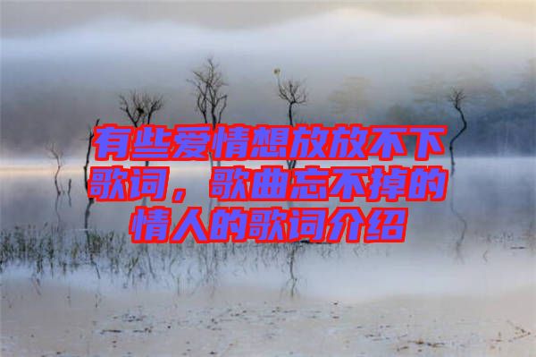 有些愛情想放放不下歌詞，歌曲忘不掉的情人的歌詞介紹