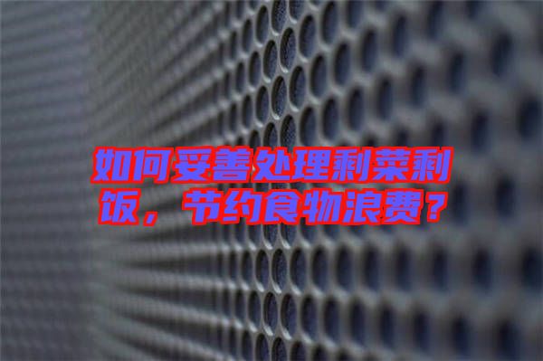 如何妥善處理剩菜剩飯，節(jié)約食物浪費？