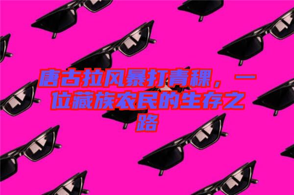 唐古拉風(fēng)暴打青稞，一位藏族農(nóng)民的生存之路