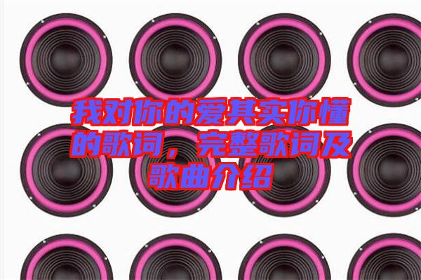 我對(duì)你的愛(ài)其實(shí)你懂的歌詞，完整歌詞及歌曲介紹