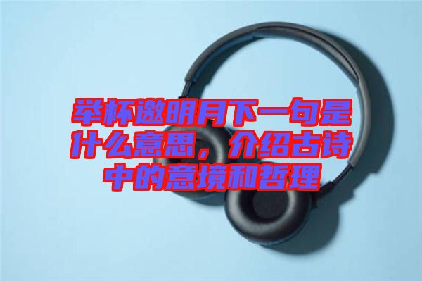 舉杯邀明月下一句是什么意思，介紹古詩(shī)中的意境和哲理