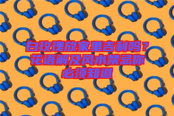 白玫瑰放家里吉利嗎？花語解及風水禁忌你必須知道