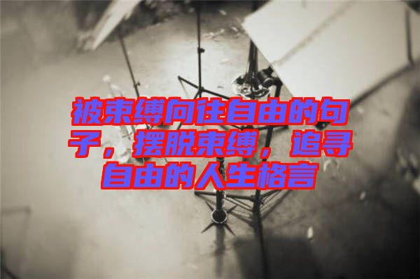 被束縛向往自由的句子，擺脫束縛，追尋自由的人生格言