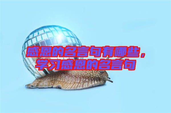 感恩的名言句有哪些，學(xué)習(xí)感恩的名言句