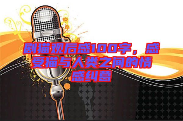 劇貓觀后感100字，感受貓與人類(lèi)之間的情感糾葛