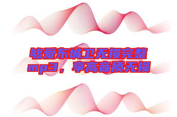 夠愛東城衛(wèi)無損完整mp3，享高音質無損