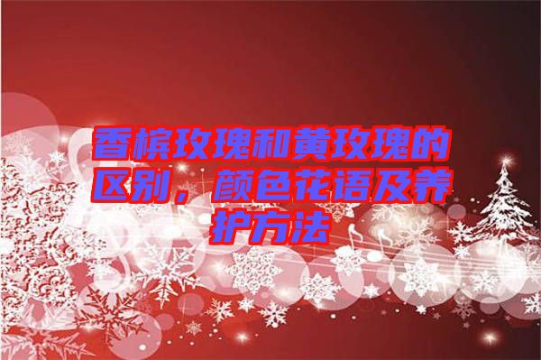 香檳玫瑰和黃玫瑰的區(qū)別，顏色花語及養(yǎng)護(hù)方法