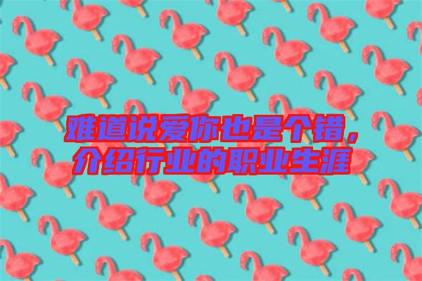 難道說愛你也是個錯，介紹行業(yè)的職業(yè)生涯