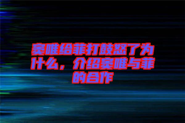 竇唯給菲打鼓怒了為什么，介紹竇唯與菲的合作