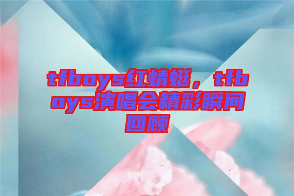 tfboys紅蜻蜓，tfboys演唱會(huì)精彩瞬間回顧