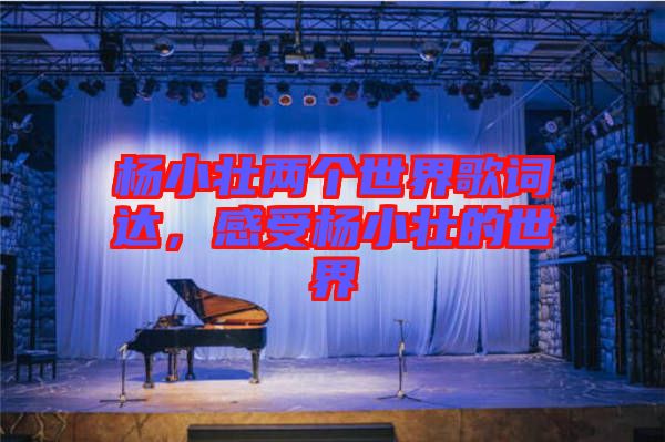 楊小壯兩個(gè)世界歌詞達(dá)，感受楊小壯的世界