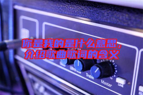 你是我的是什么意思，介紹歌曲歌詞的含義