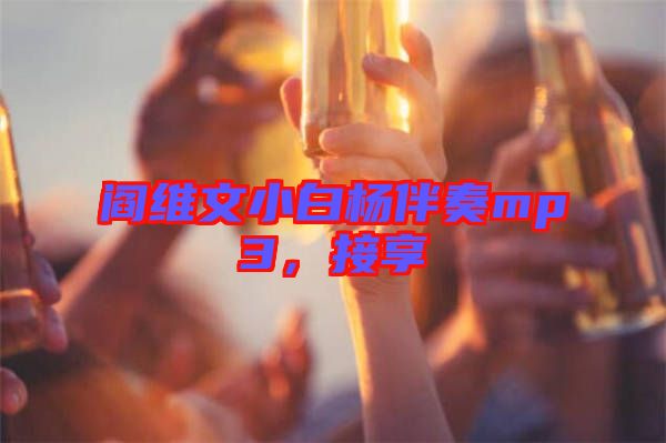 閻維文小白楊伴奏mp3，接享