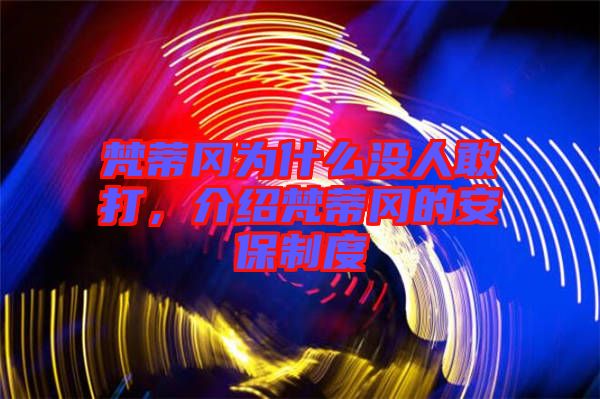 梵蒂岡為什么沒人敢打，介紹梵蒂岡的安保制度