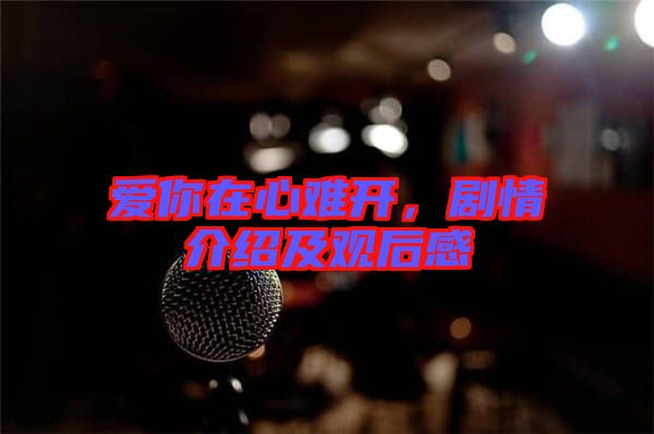 愛你在心難開，劇情介紹及觀后感