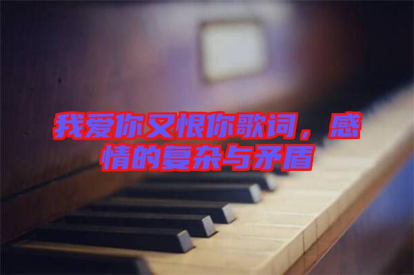 我愛你又恨你歌詞，感情的復(fù)雜與矛盾