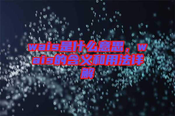 wais是什么意思，wais的含義和用法詳解
