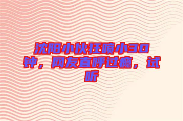 沈陽(yáng)小伙狂噴小30鐘，網(wǎng)友直呼過(guò)癮，試聽(tīng)