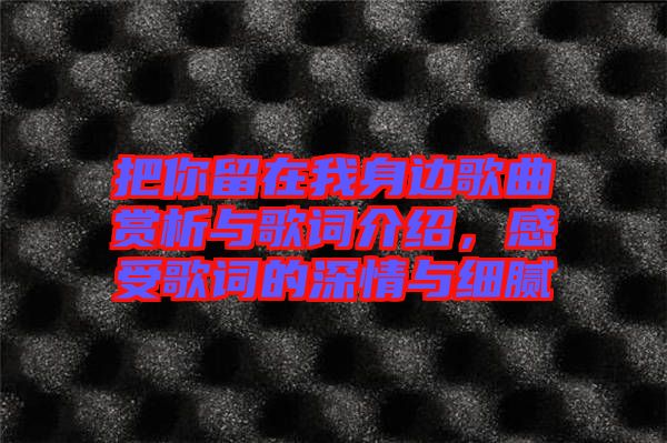 把你留在我身邊歌曲賞析與歌詞介紹，感受歌詞的深情與細(xì)膩