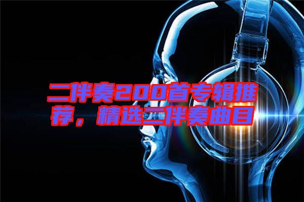 二伴奏200首專輯推薦，精選二伴奏曲目