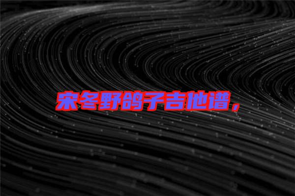 宋冬野鴿子吉他譜，