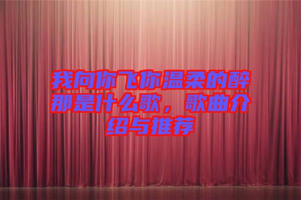 我向你飛你溫柔的醉那是什么歌，歌曲介紹與推薦