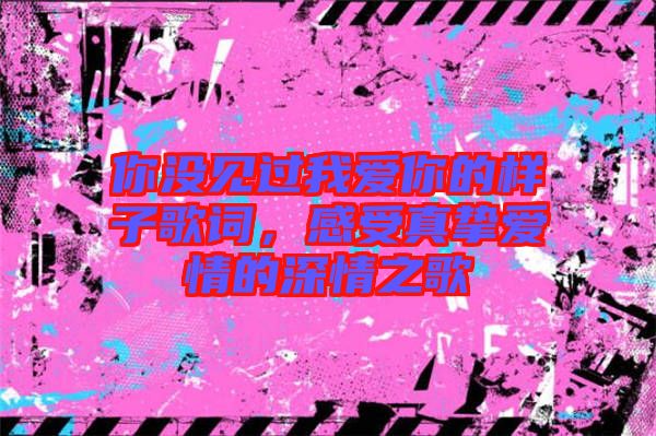 你沒見過我愛你的樣子歌詞，感受真摯愛情的深情之歌