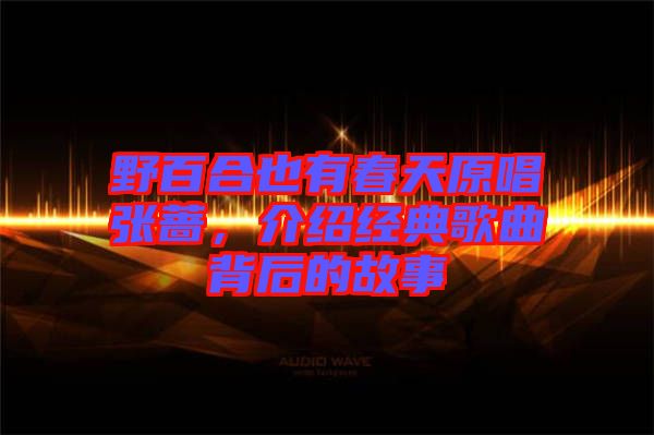 野百合也有春天原唱張薔，介紹經典歌曲背后的故事