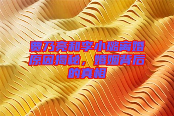 賈乃亮和李小璐離婚原因揭秘，婚姻背后的真相