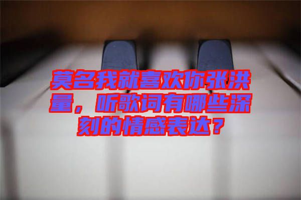 莫名我就喜歡你張洪量，聽歌詞有哪些深刻的情感表達(dá)？