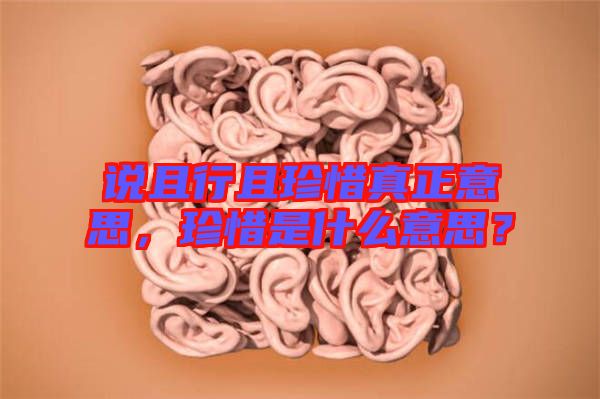 說且行且珍惜真正意思，珍惜是什么意思？