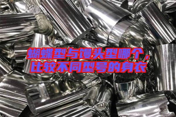 蝴蝶型與饅頭型哪個，比較不同型號的身衣