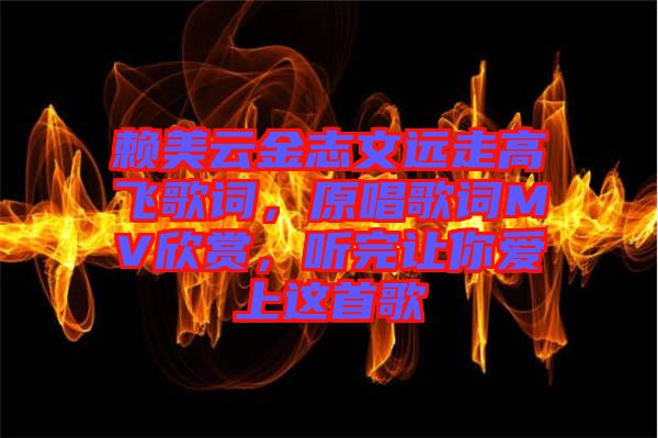 賴美云金志文遠(yuǎn)走高飛歌詞，原唱歌詞MV欣賞，聽完讓你愛上這首歌