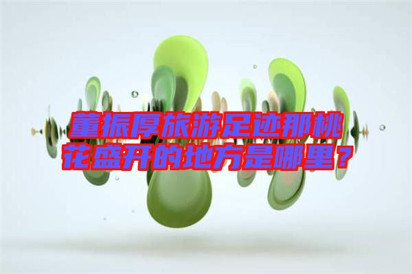 董振厚旅游足跡那桃花盛開的地方是哪里？