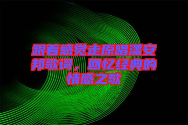 跟著感覺走原唱潘安邦歌詞，回憶經(jīng)典的情感之歌