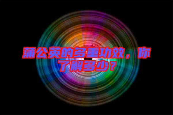 蒲公英的多重功效，你了解多少？