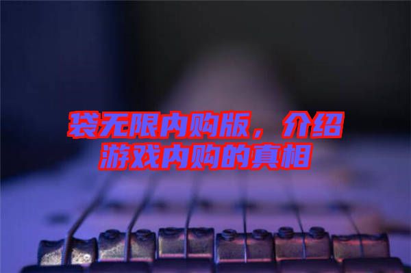 袋無限內(nèi)購版，介紹游戲內(nèi)購的真相