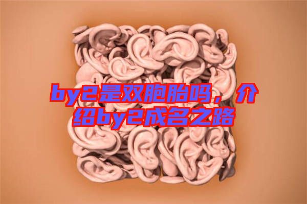 by2是雙胞胎嗎，介紹by2成名之路