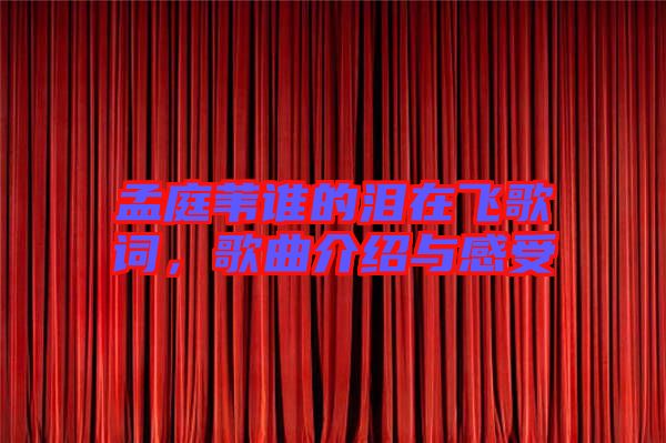 孟庭葦誰(shuí)的淚在飛歌詞，歌曲介紹與感受