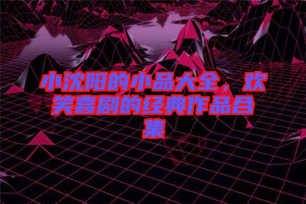 小沈陽(yáng)的小品大全，歡笑喜劇的經(jīng)典作品合集