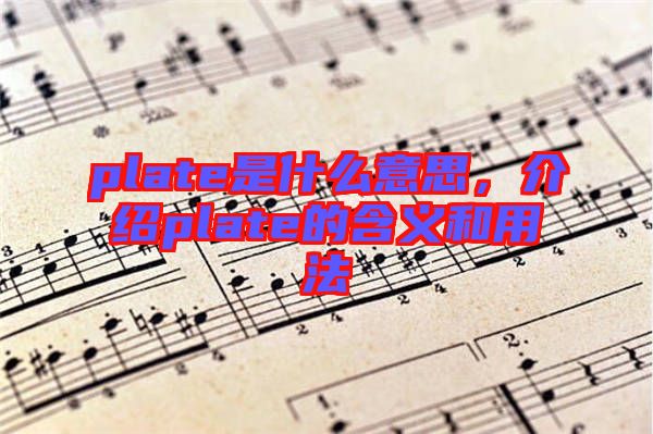 plate是什么意思，介紹plate的含義和用法