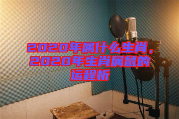 2020年屬什么生肖，2020年生肖屬鼠的運(yùn)程析