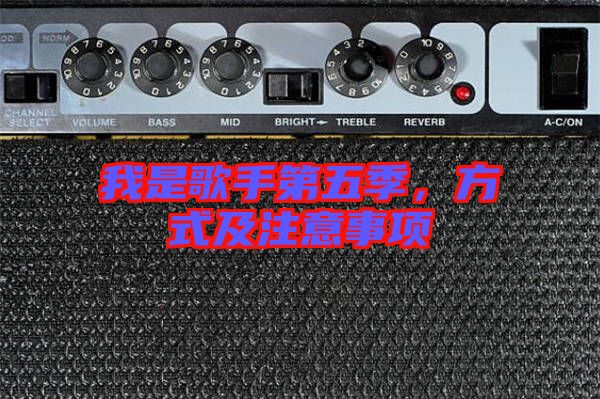 我是歌手第五季，方式及注意事項