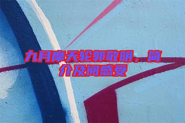 九月摩天輪郭敬明，簡(jiǎn)介及閱感受